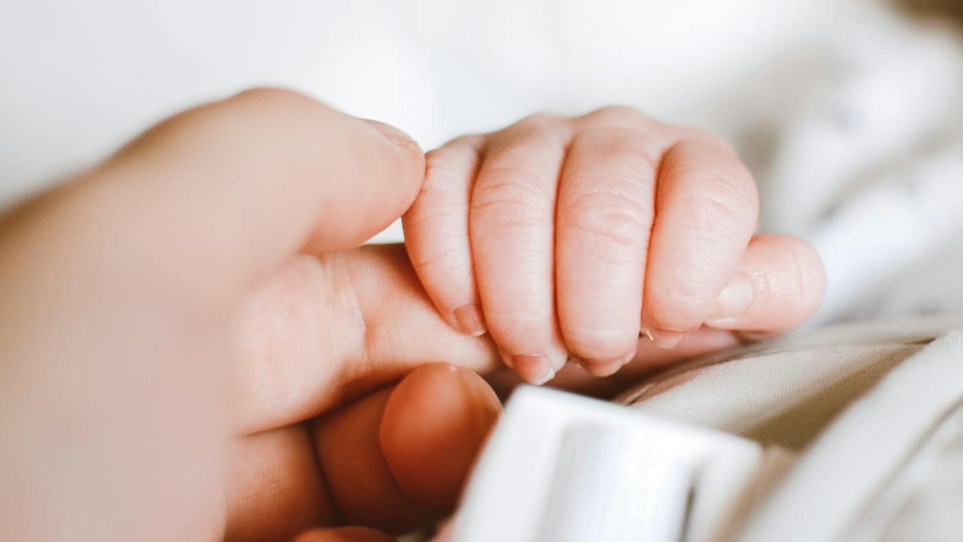 person holding baby s hand